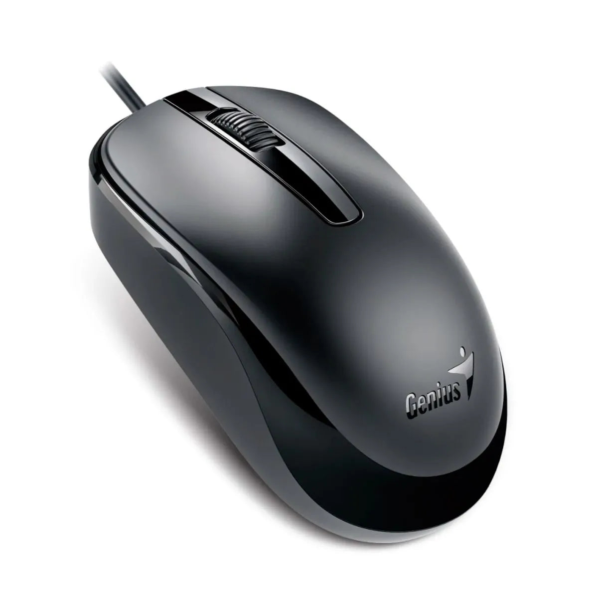MOUSE GENIUS DX-120 NEGRO TIPO C