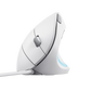 MOUSE VERTICAL ANALAMBRICO TRUST BAYO II REF.25397 BLANCO